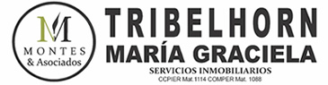 Montes & Asociados